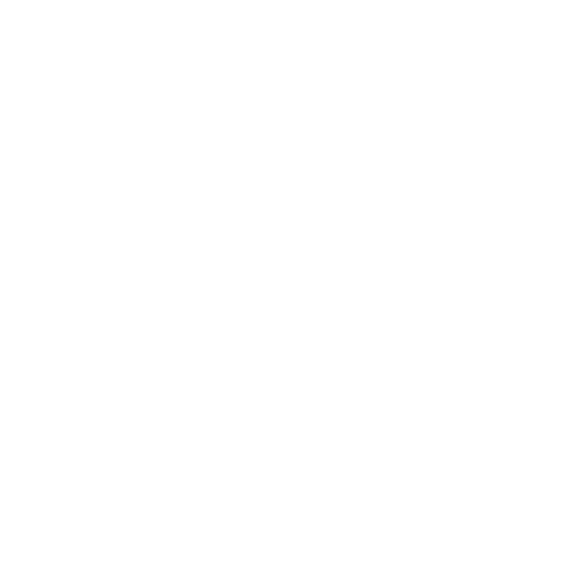 Services provided in 11 different countries