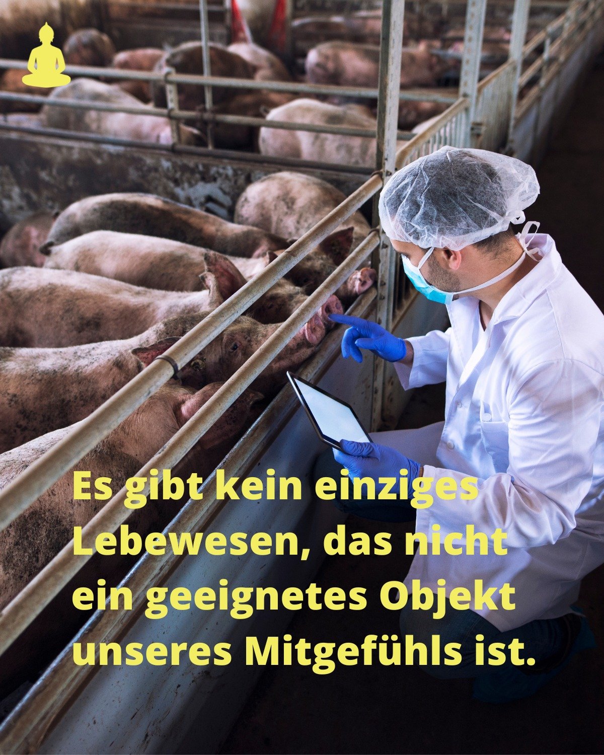 Aus: Acht Schritte zum Gl&uuml;ck von Geshe Kelsang Gyatso

#karma #meditieren #meditation #hamburg #innererfrieden #resilienz #spirituellerpfad #weisheit #freiheit #mitgef&uuml;hl #dharma #buddhismus #buddhist #achtsamkeit #kadampameditationszentrum