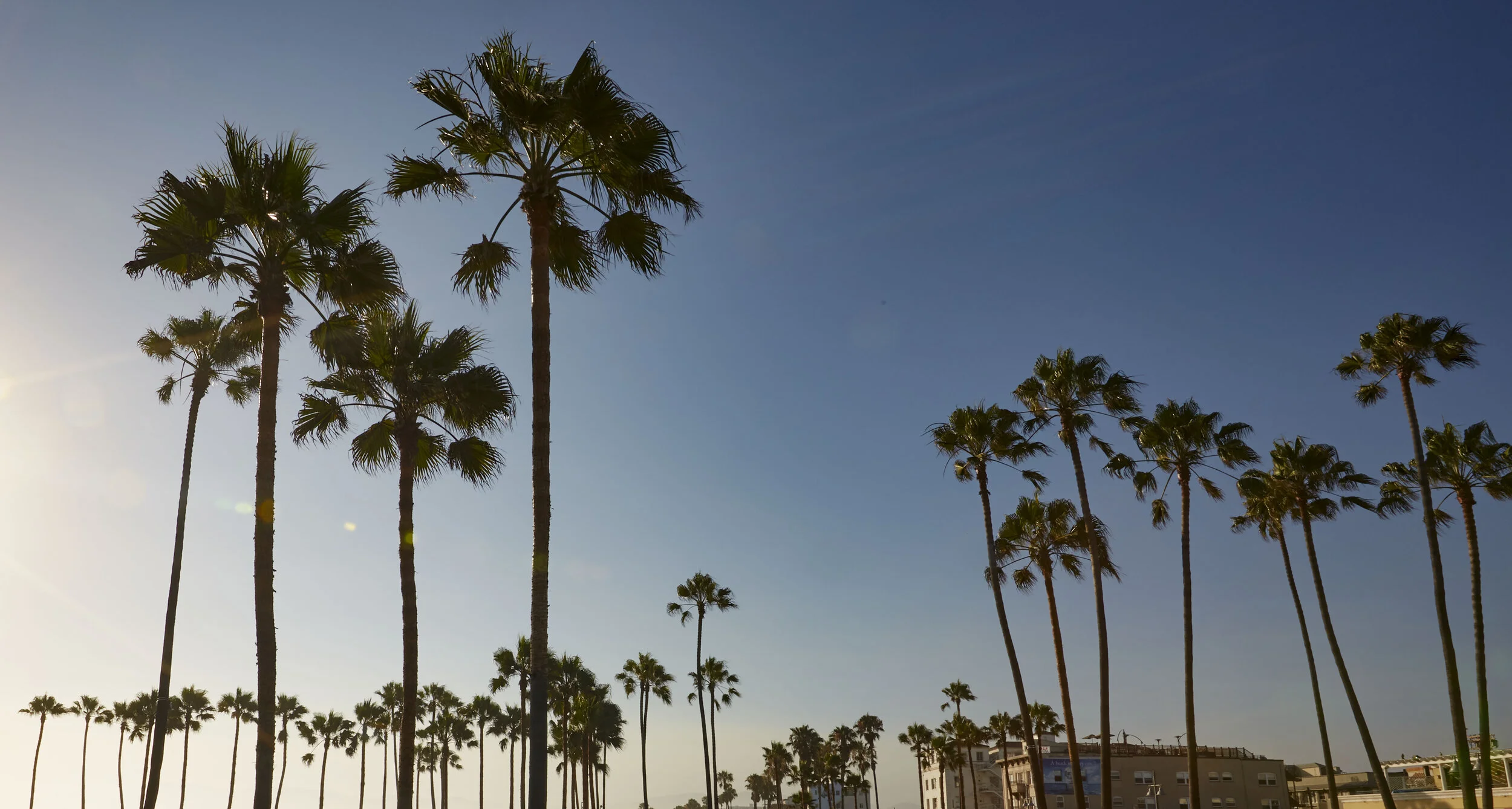 road trip 032 crop.jpg