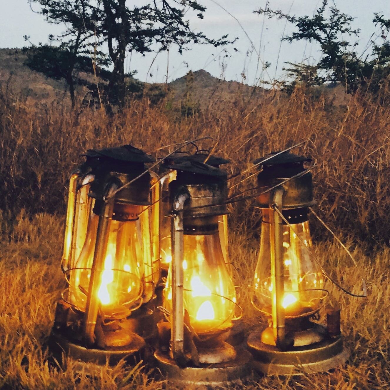 Evening lights #safarilife #safarikenya #bushcolours