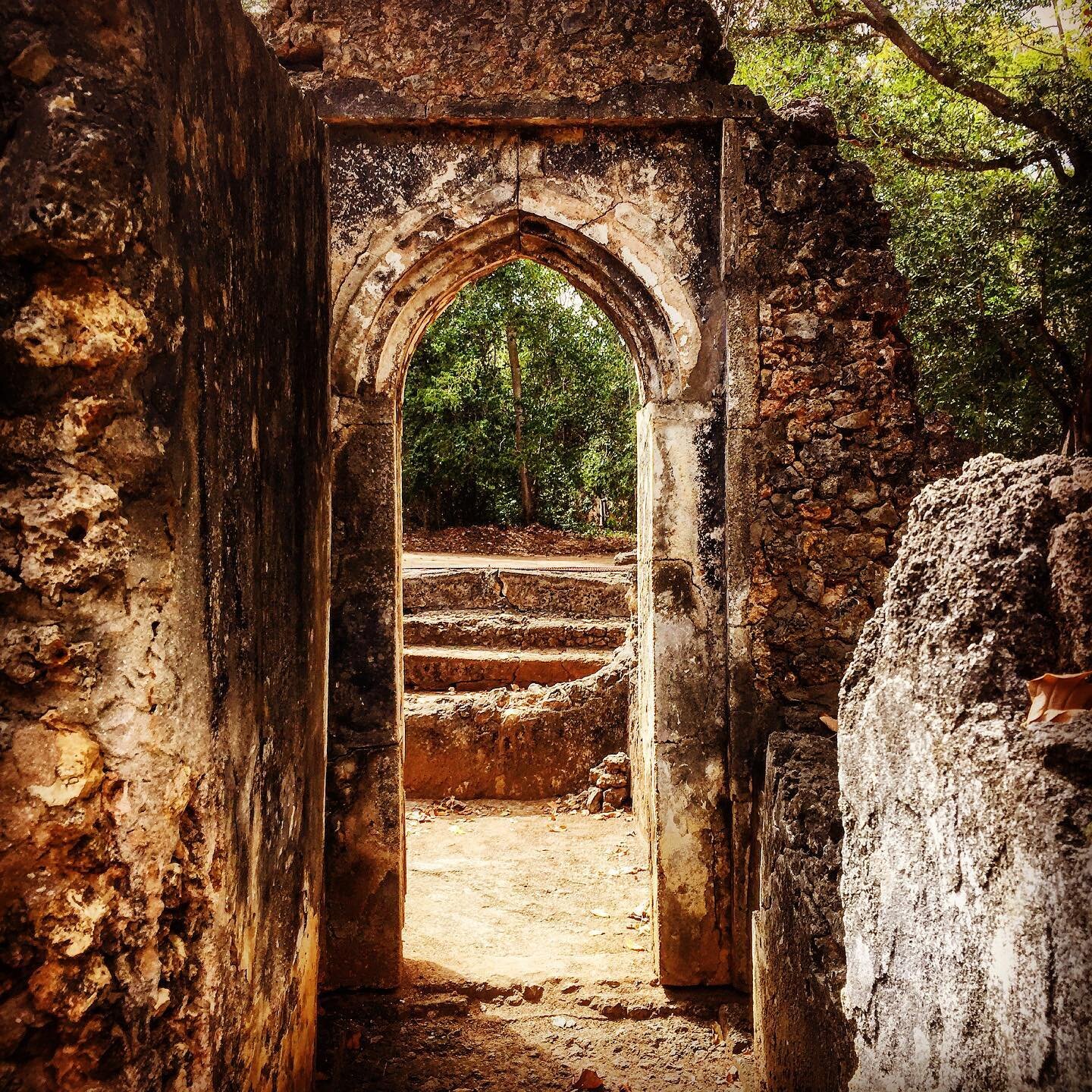 Gede Ruins #history #swahilicoast #mystery #neverstopexploring