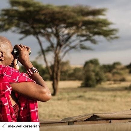 Well done to Jonathan Koikai from @alexwalkerserian, he recently gained his Silver Level guiding certification! 

_____________
www.africanterritories.co.ke
_____________

#alexwalkerserian #guiding #maasai #mara #guide #guiding #expert #learn #cultu