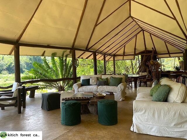 @kitich_forest_camp reopens with a fabulous new look! The mess opened up, lots of natural light &amp; views across the valley! 

________________
www.africanterritories.co.ke
________________

#repost #kitich #kitichforestcamp #camp #camplife #newloo