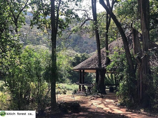 Your home away home&hellip; @kitich_forest_camp, a traditional camp, set deep in the Mathews Range!

______________
www.africanterritories.co.ke
______________

#camp #life #kitich #homeawayfromhome #safari #safaridreaming #beautifuldestinations #des