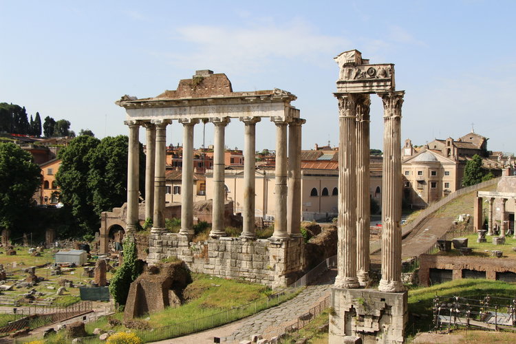 Fig. i.2 The Forum, Rome.