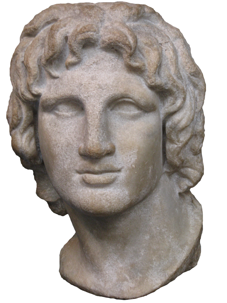 Fig. 1.6 A bust of Alexander the Great