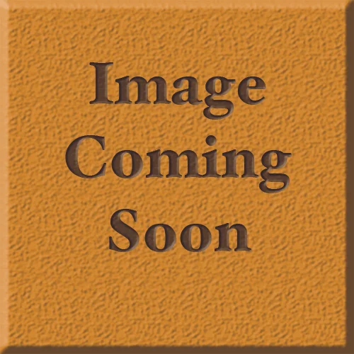 Fig. 1.8: A bust of General Ptolemy I, 3rd century BCE. Louvre Museum, Paris.