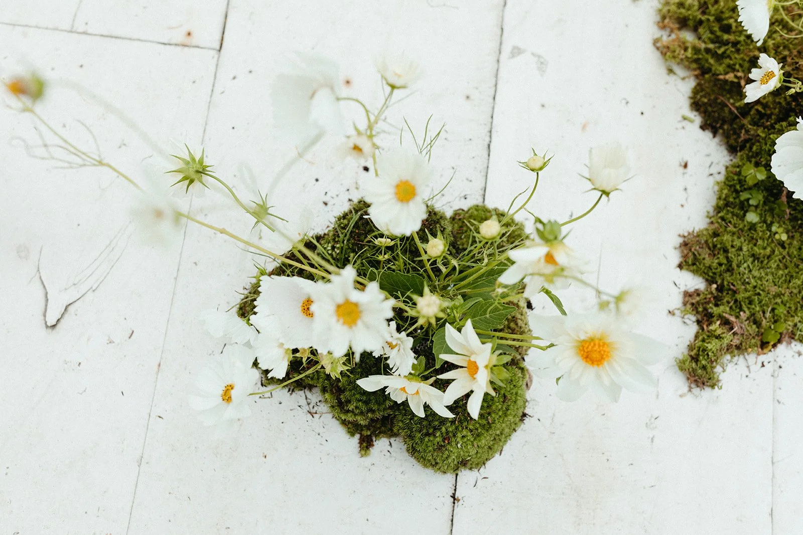 SAM BUFALO PHOTOGRAPHY_NY WEDDING PHOTOGRAPHER-23.jpg