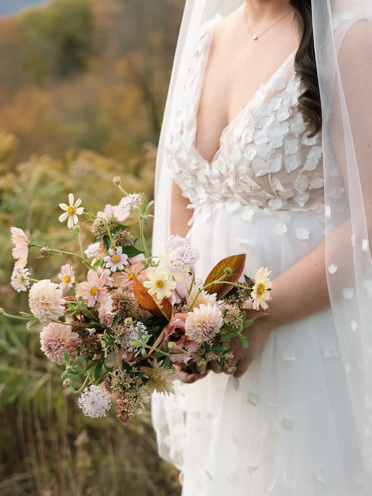 20251018 AG - Mountain Top-63.jpg