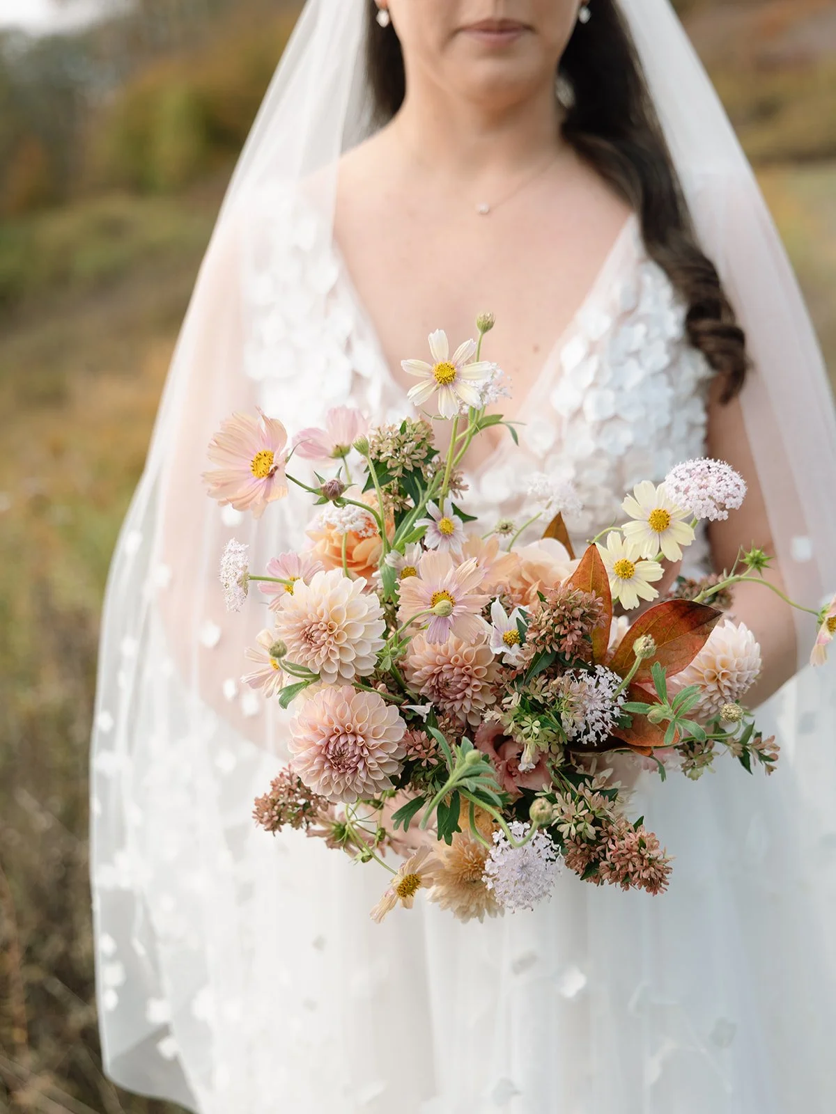 20251018 AG - Mountain Top-64.jpg