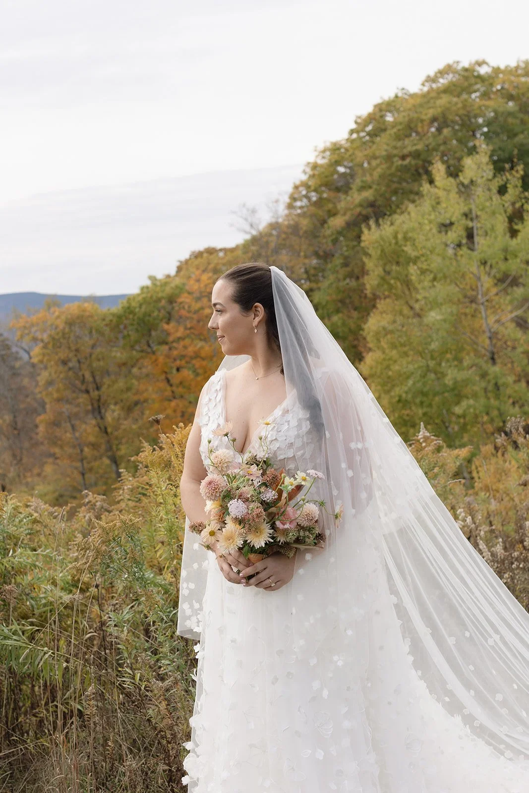 20251018 AG - Mountain Top-69.jpg