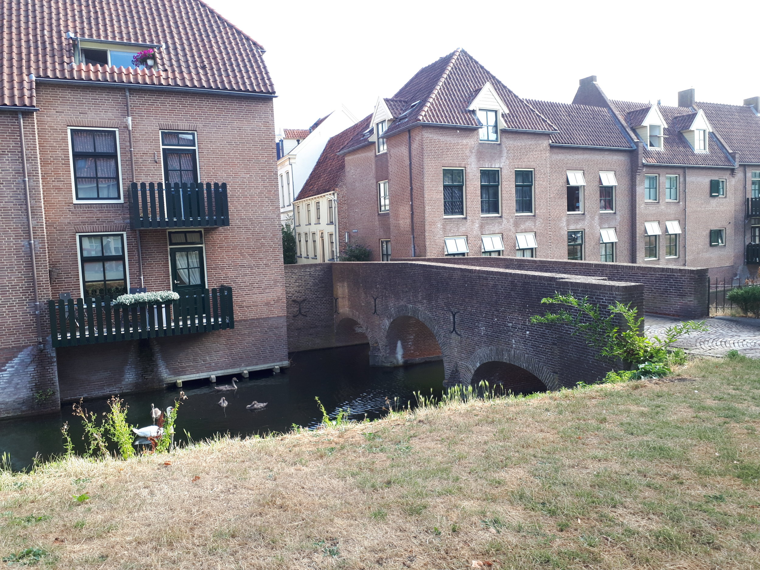 20180729_092711.jpg