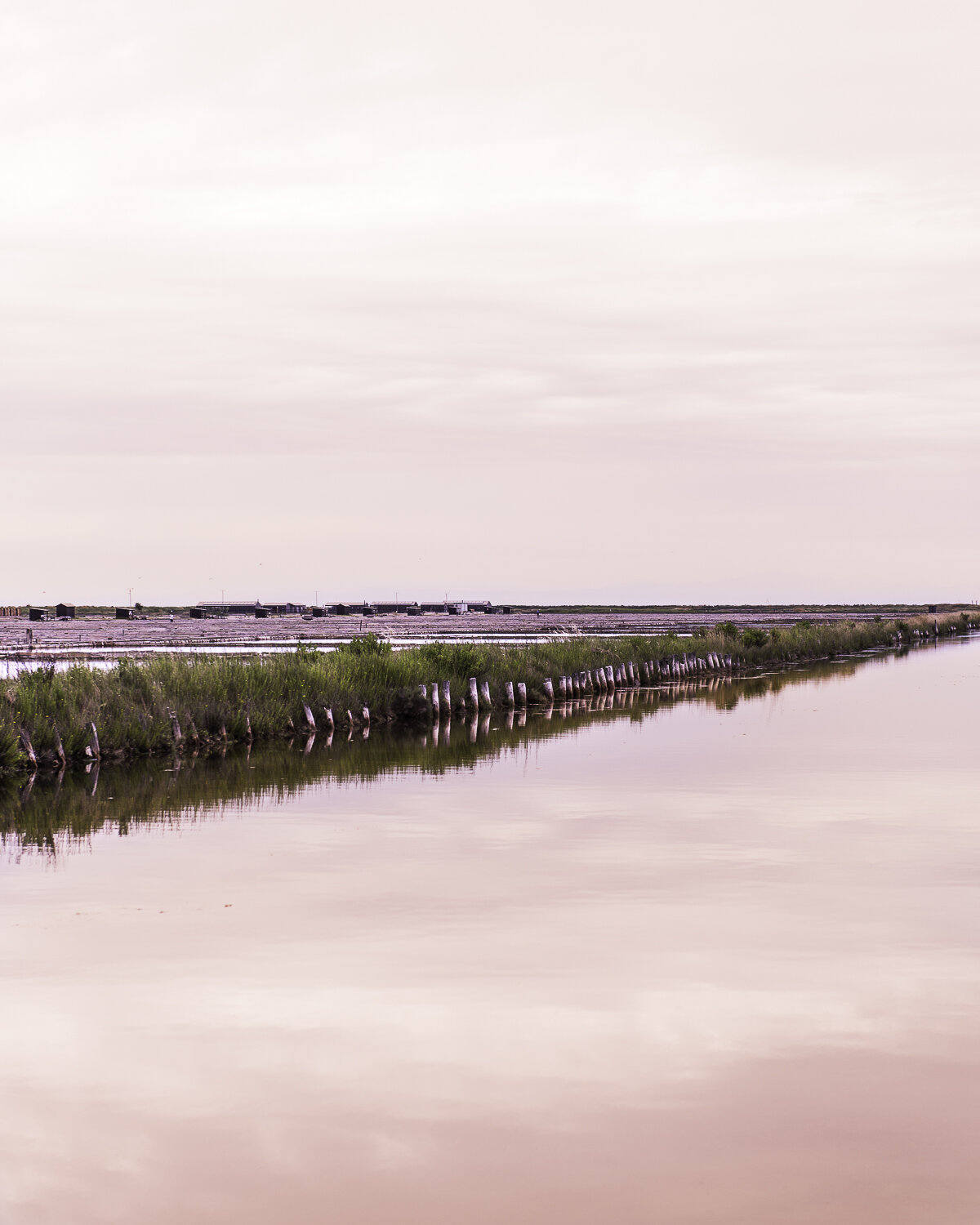 _DSC0872.jpg