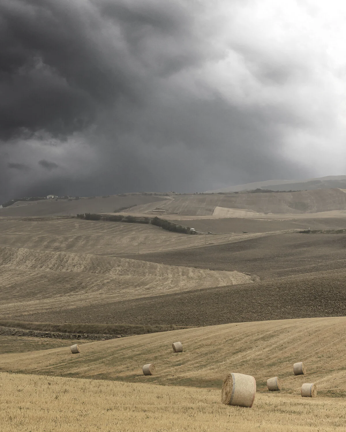 _DSC3193-Edit.jpg