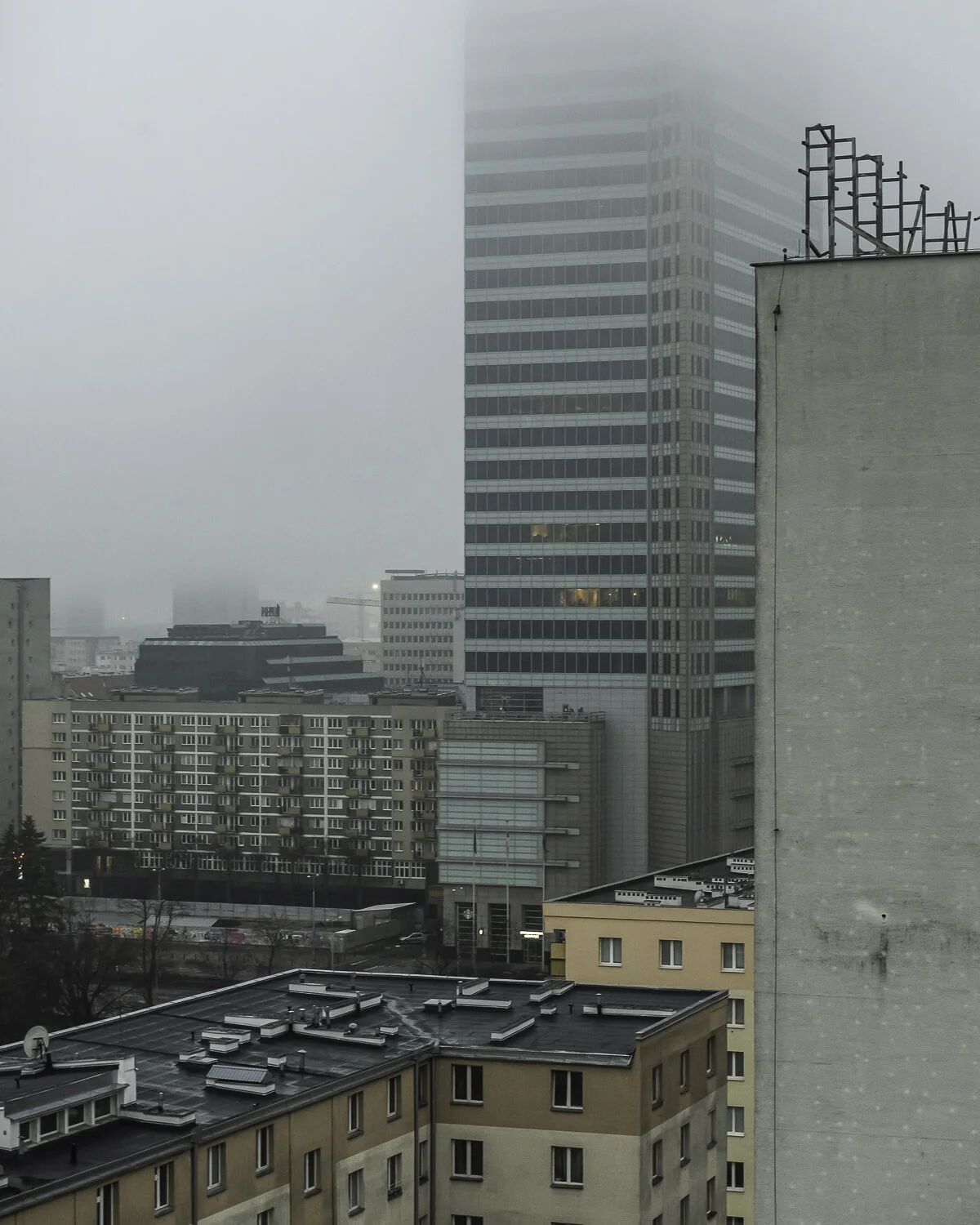 _DSC7938.jpg