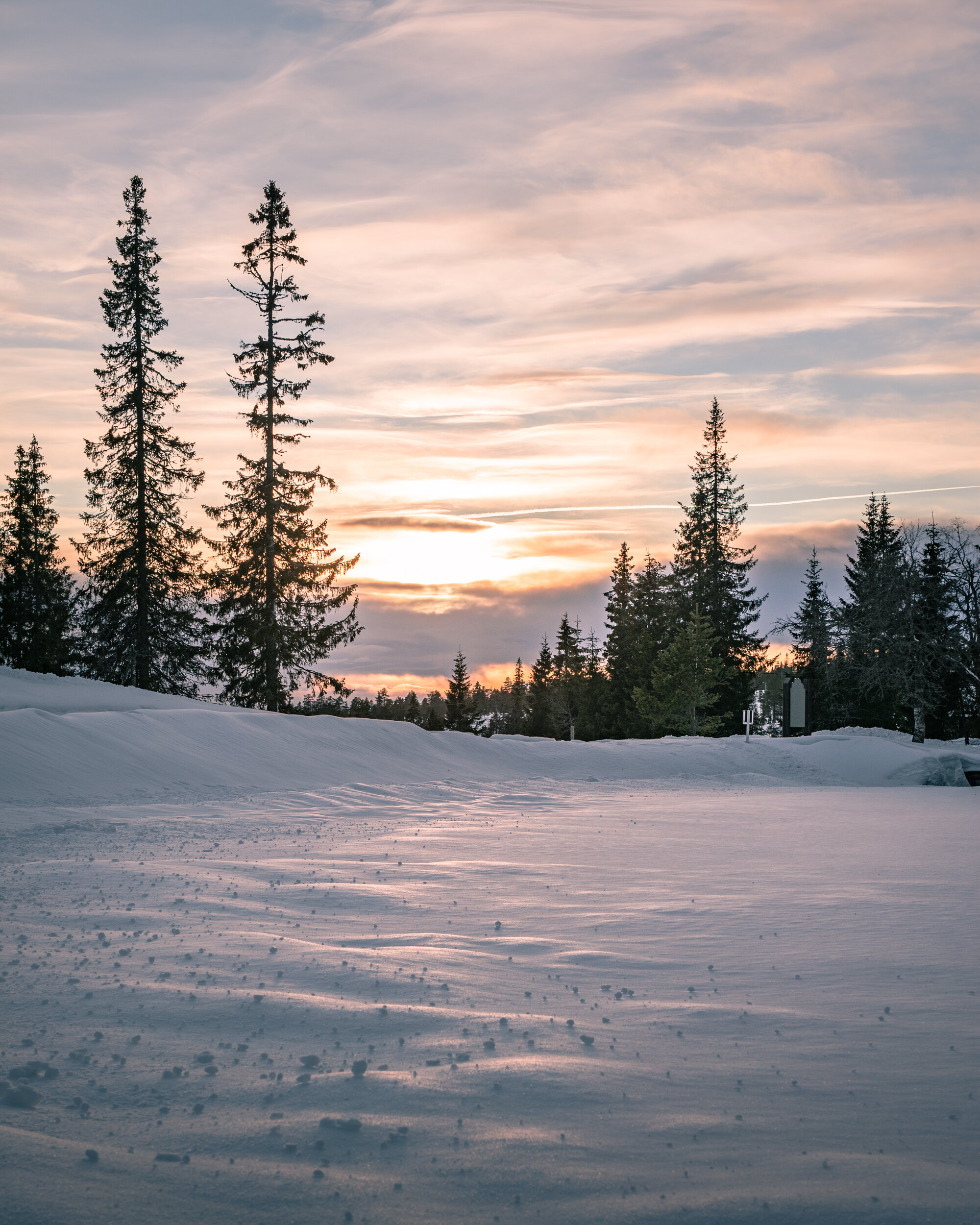 DSC_2859.jpg