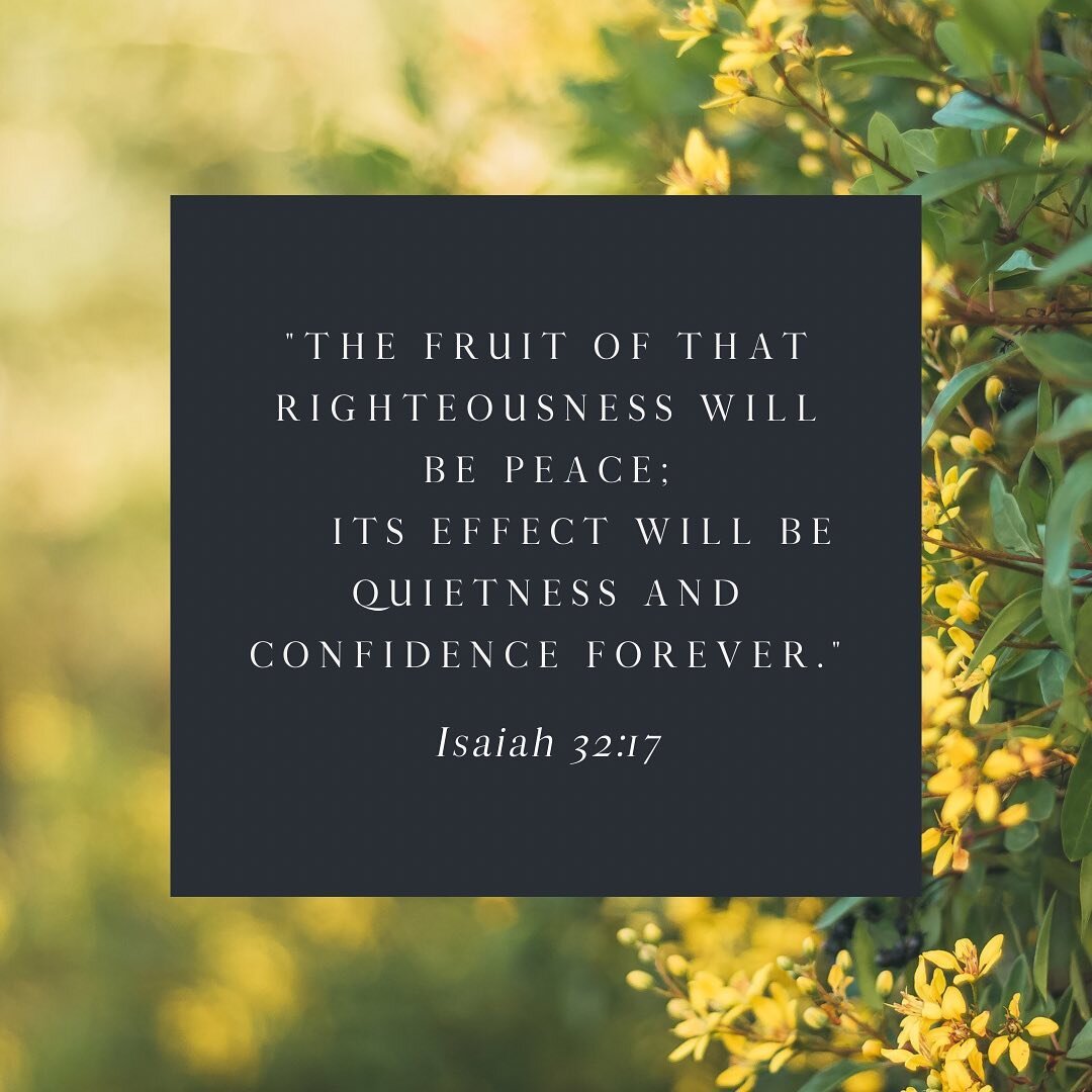 Thank you, Lord, for the pauses to gain strength, wisdom, and clarity. Especially on Wednesday, the busiest day of the week. 🪴☕️

#connect #encourage #inspire #LiveByWhatIsWritten #WordToLiveBy #Wednesday #humpday