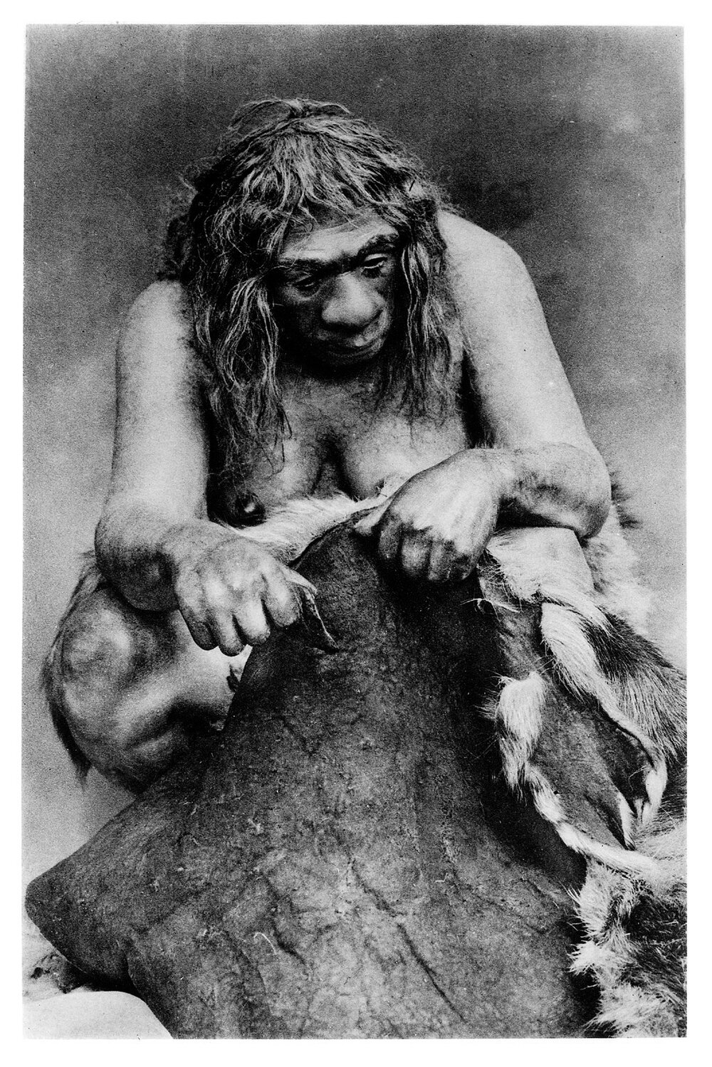 Restoration of a Neanderthal woman cleaning a reindeer skin