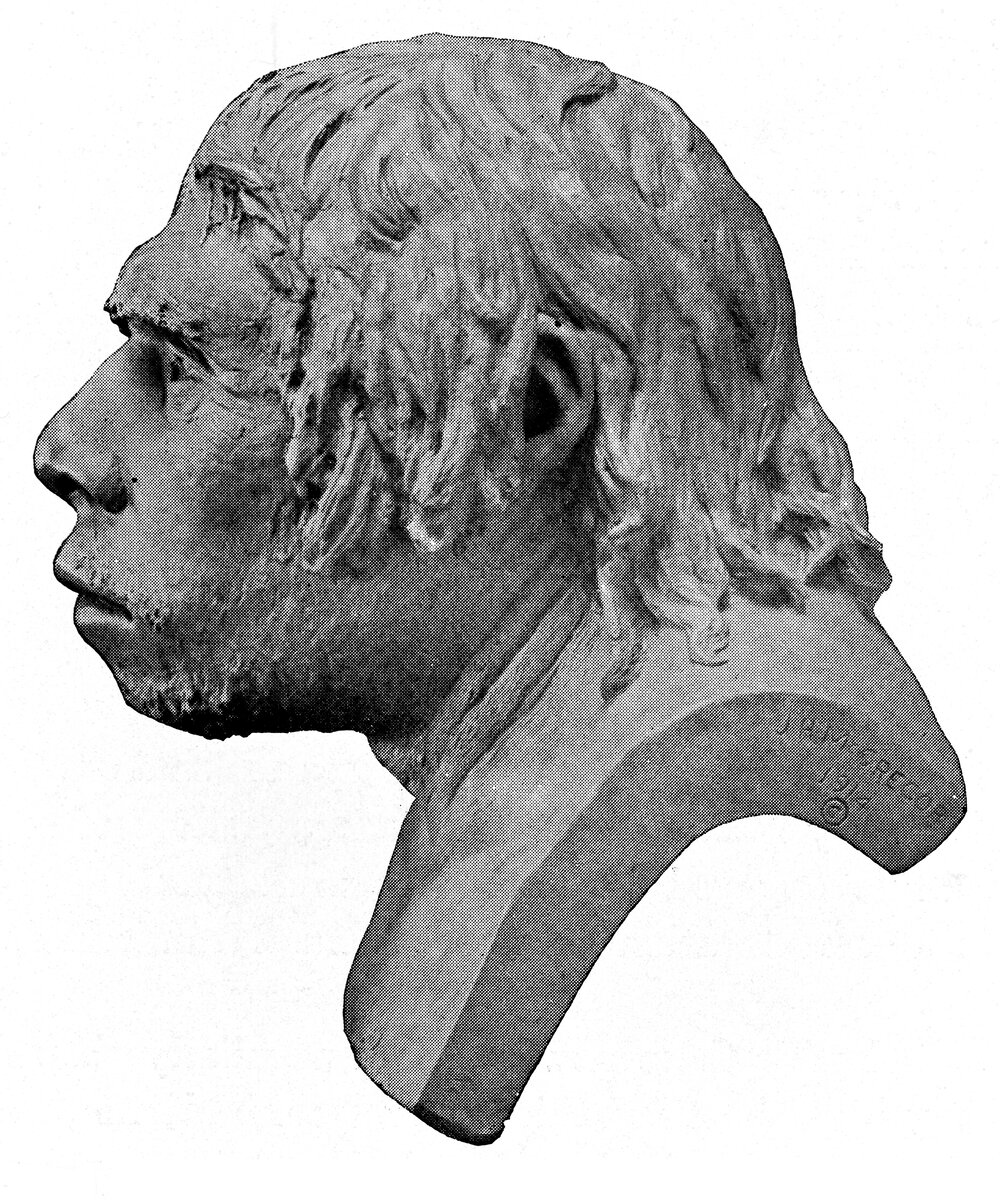 Restoration of head of Neanderthal Man