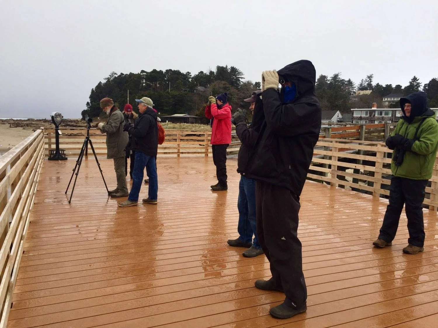 Calendar — Audubon Society of Lincoln City