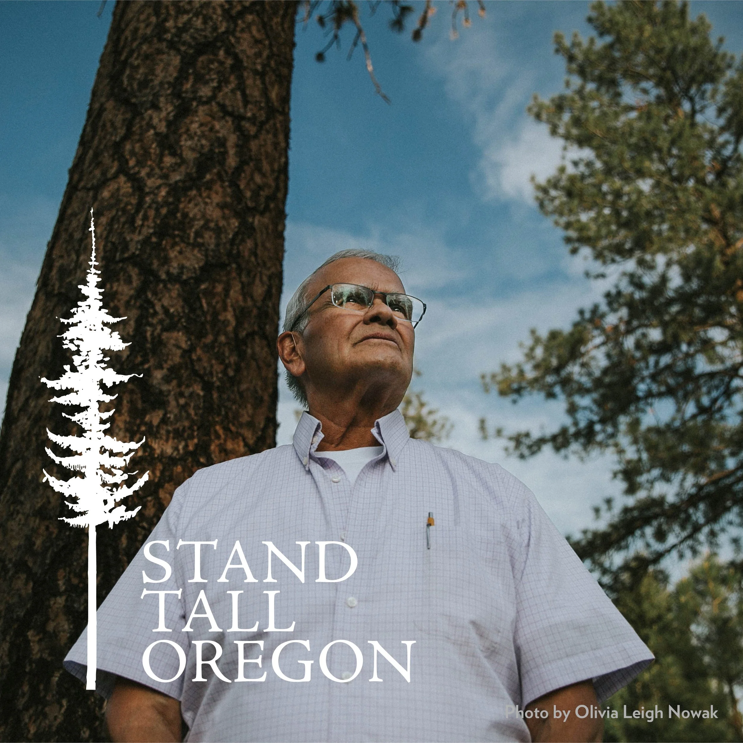 Action Alert: Stand Tall for Oregon's State Forests! — Seven Capes Bird ...