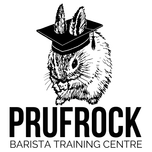 Logo - Graduation Bunny - whitebg.png