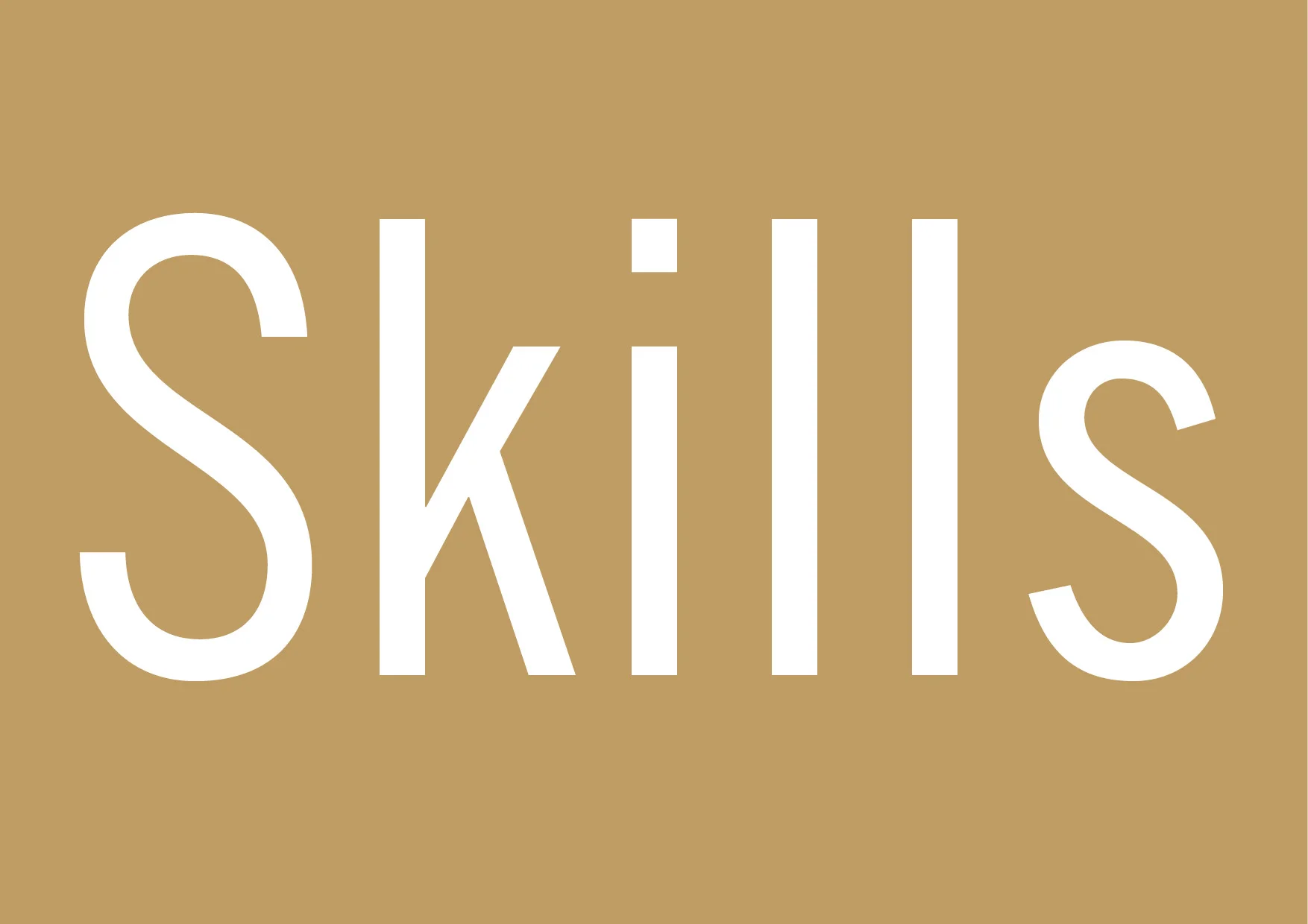 JC portfolio chapter slug skills.jpg