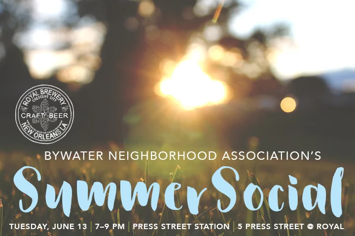 BNA summer social 2017.jpg