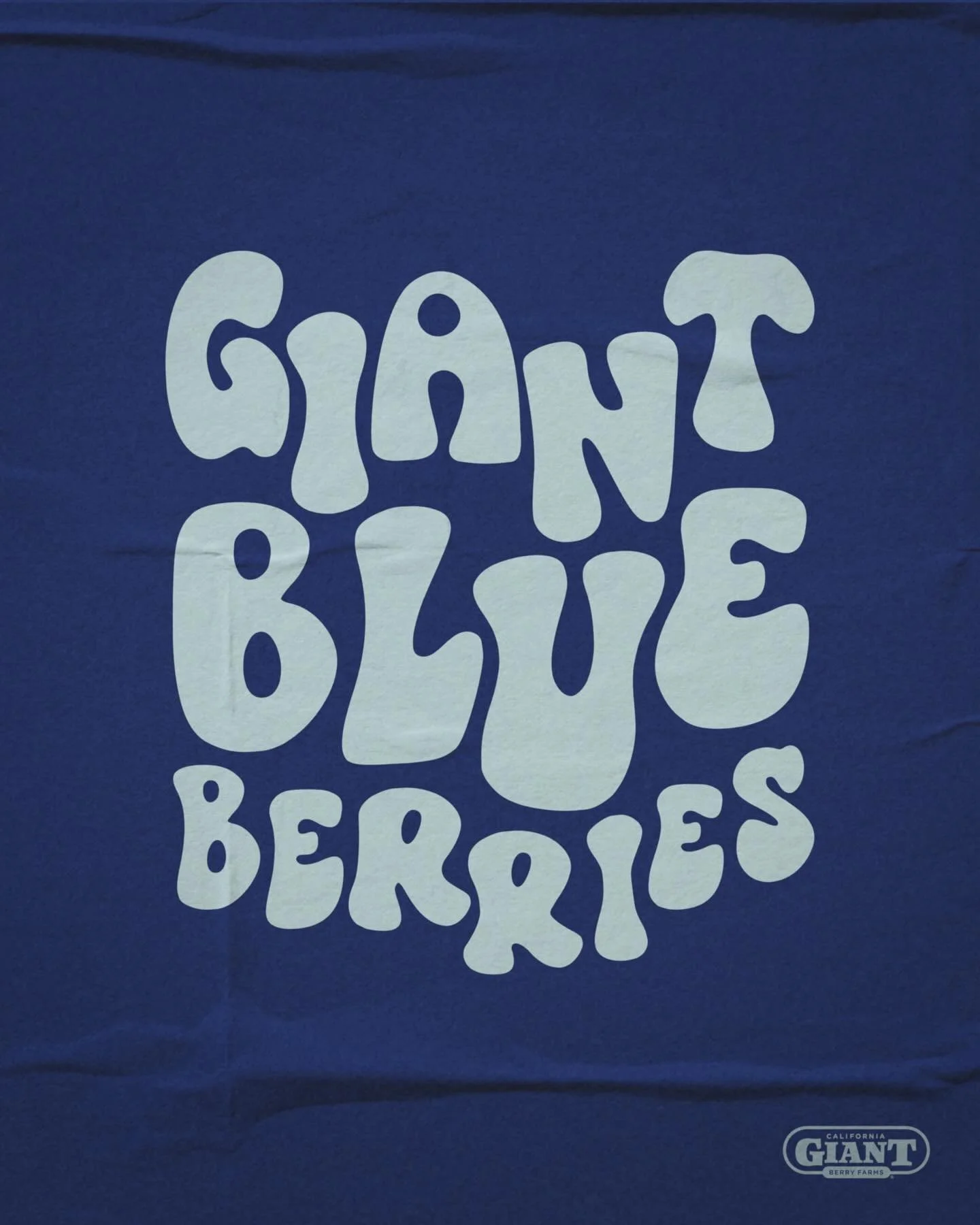 feeling sorry for the normal sized blueberries lately 🫐🥺
Label work for @calgiantberries - 2024 with @curiousplot