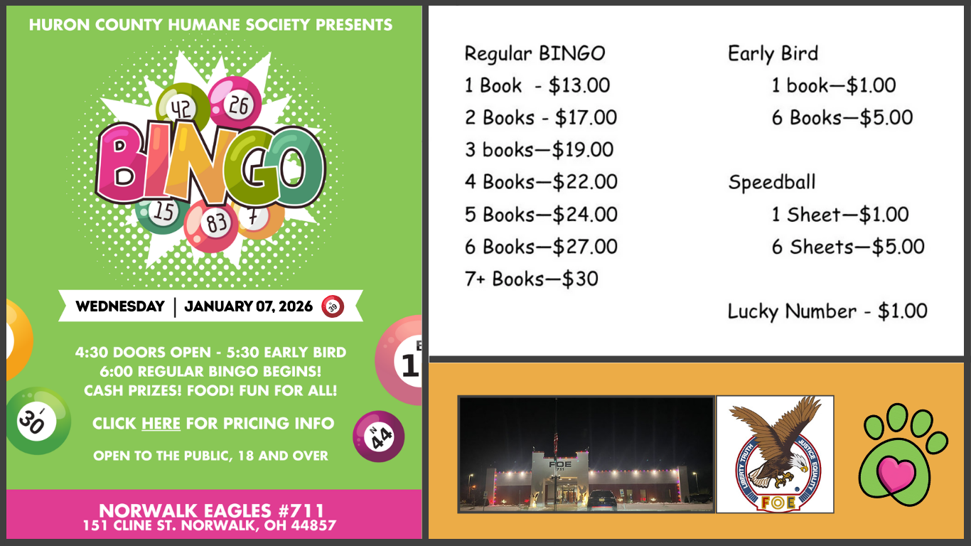 BINGO! First Wednesday Of Each Month