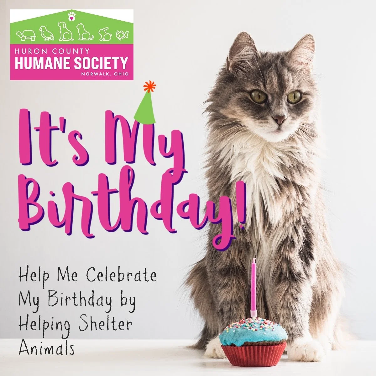 Birthday 6.jpg