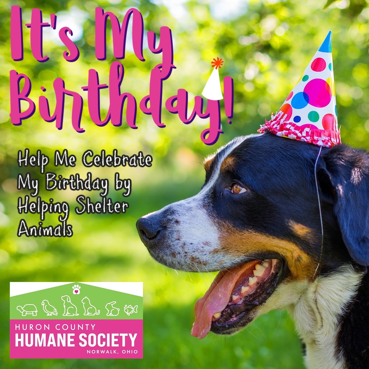 Birthday 7.jpg