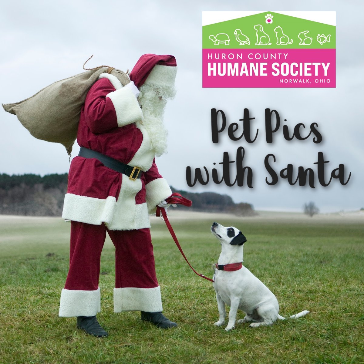 Pet Pics with Santa