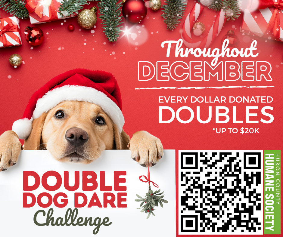 Double your donation!