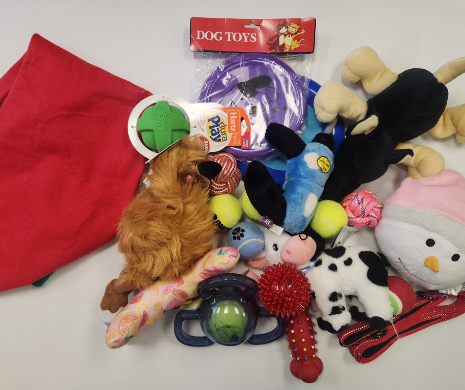 Dog Stocking