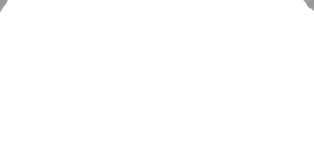white-background-png-5.png