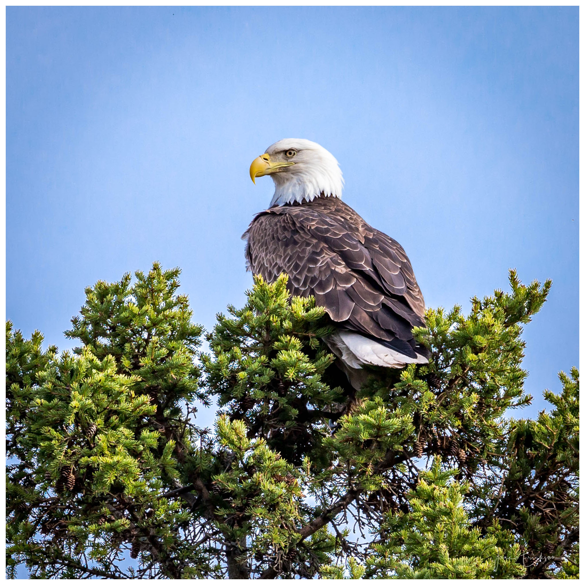 20180510-IMG_3246-Edit.jpg