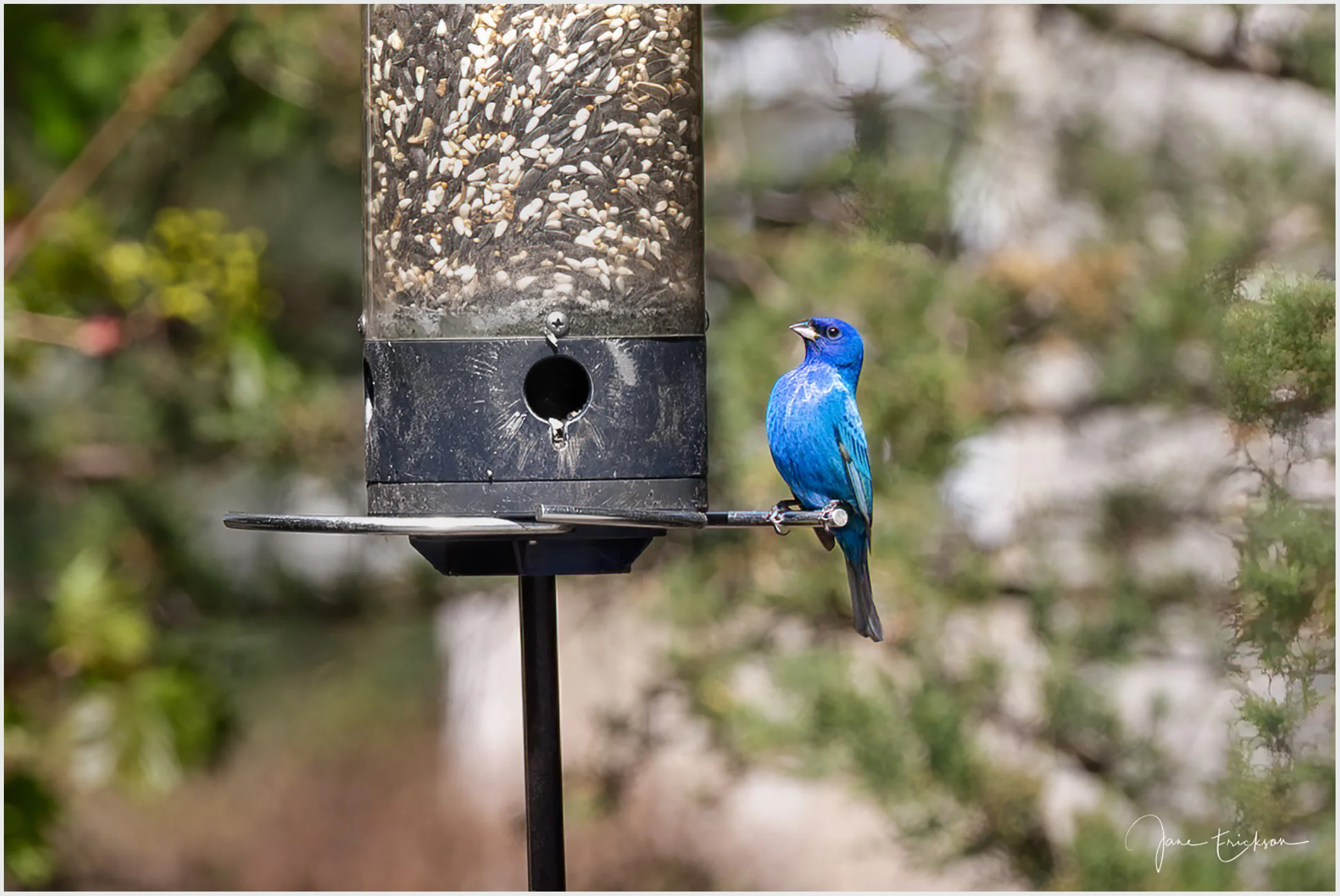20180513-IMG_3590-Edit.jpg
