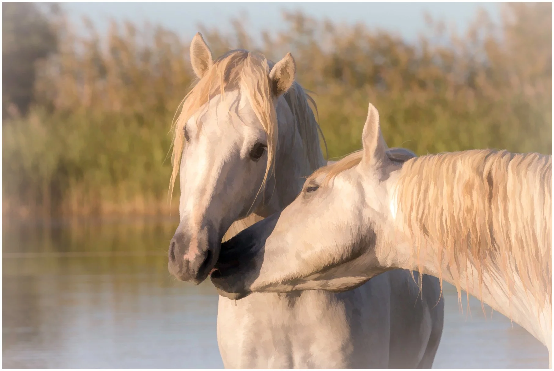 Horses-27