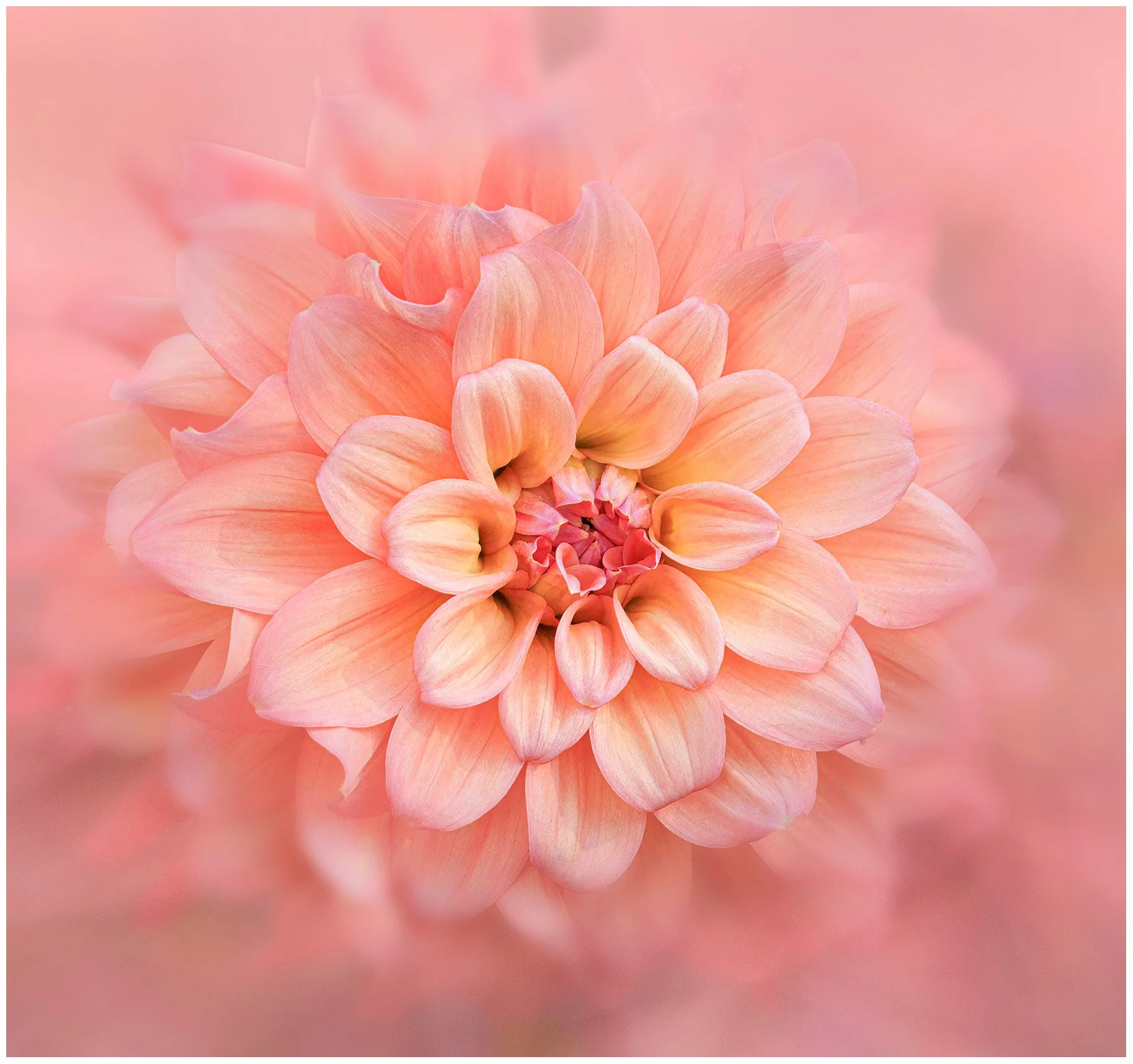 20251008-_L7A8162-Edit-Edit-2.jpg
