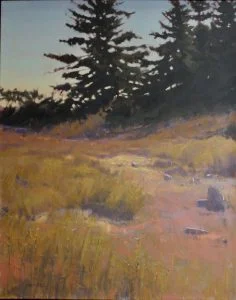 Sandra Quinn Solo Exhibition