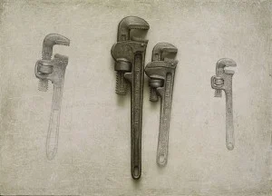 A Closer Look at Alan Magee’s “Natural History” by Dan Kany