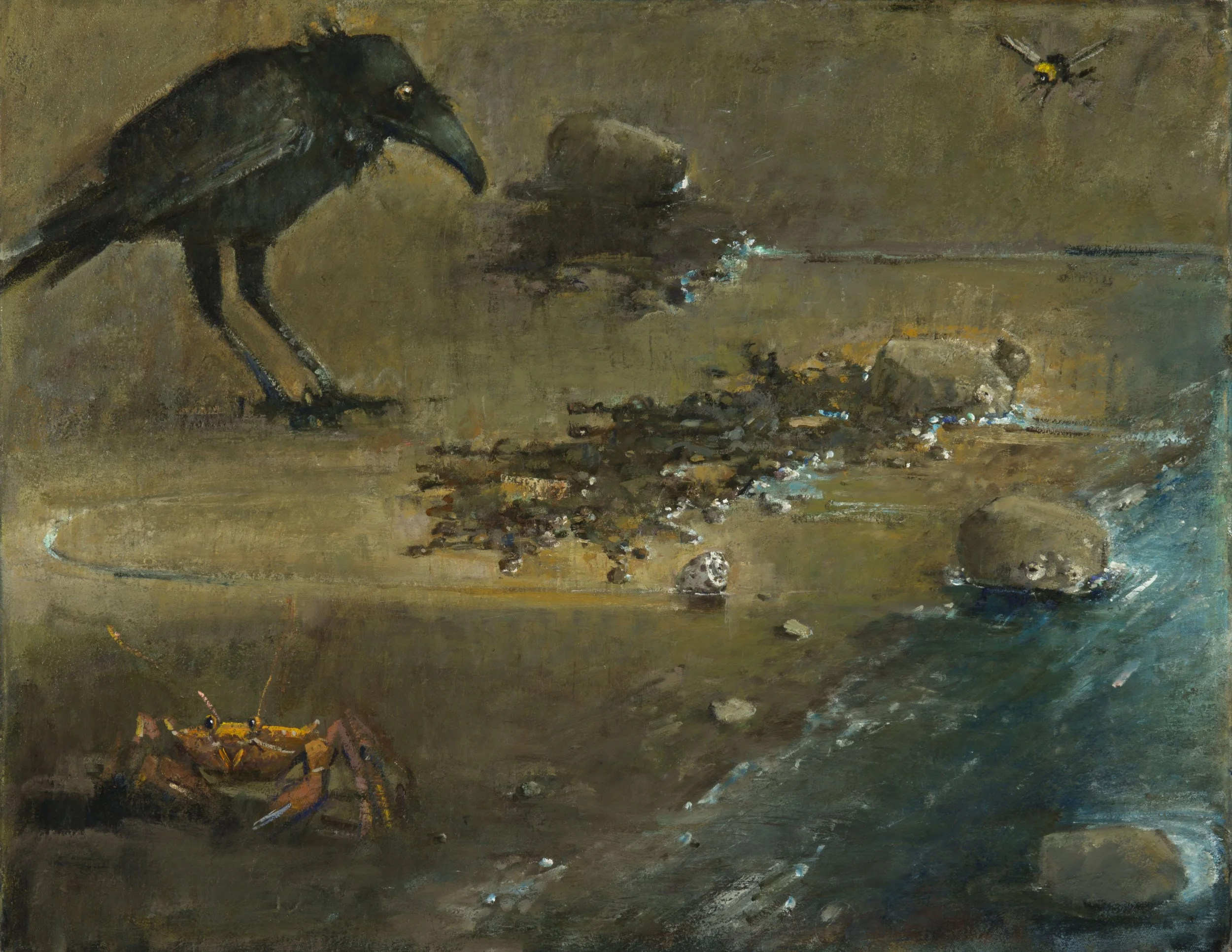 Shoreline, Nancy Morgan Barnes