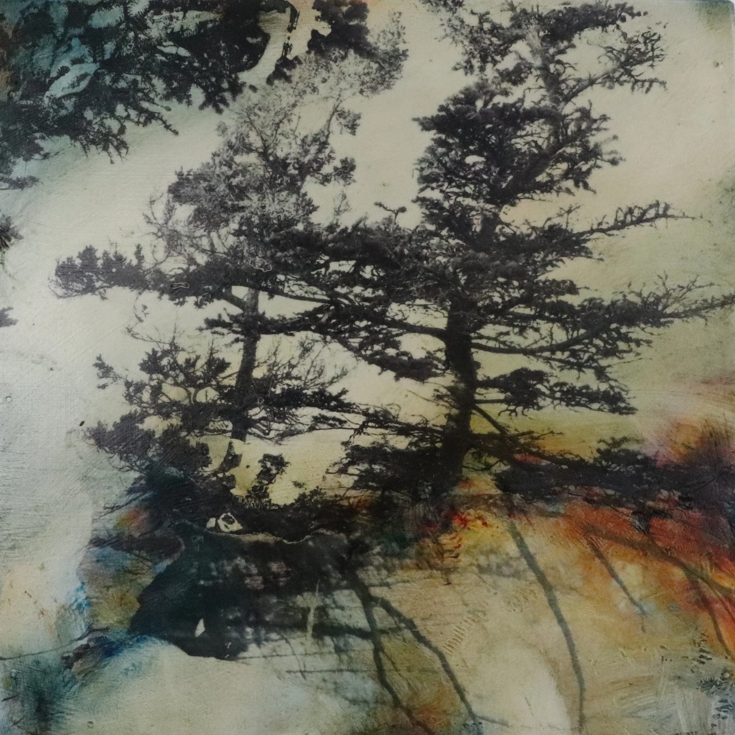 Susan Barnes