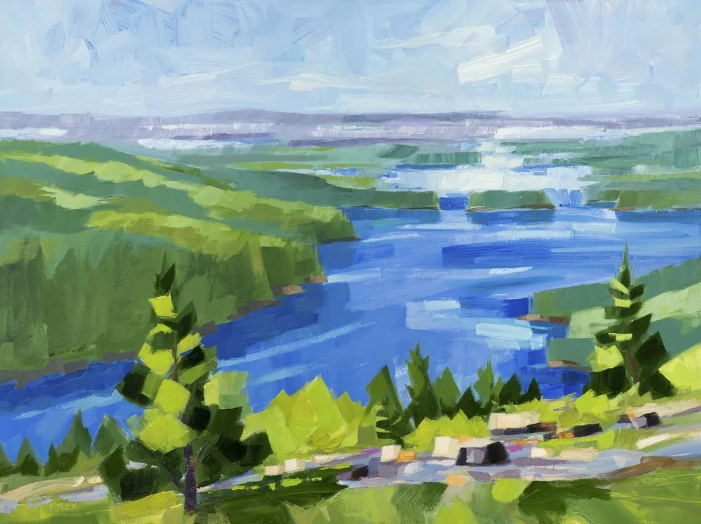Vast View