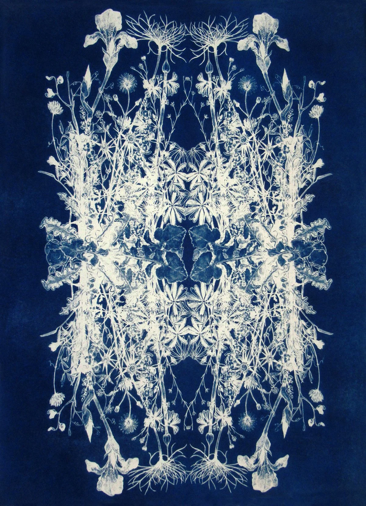 May Botanical Rhapsody   Ed.4/5