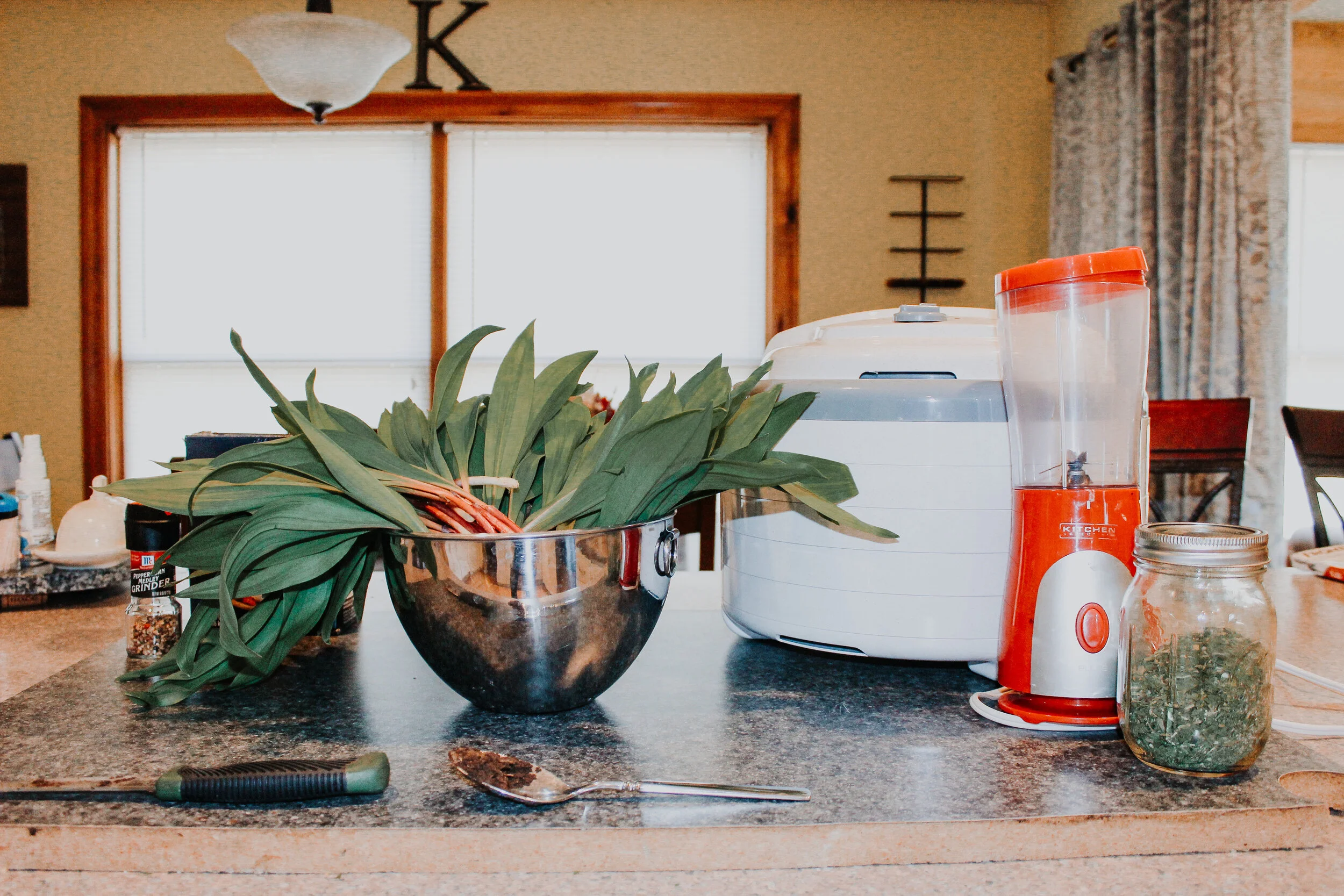 Dehydrating Ramps 101 with Sarah Kozlowski