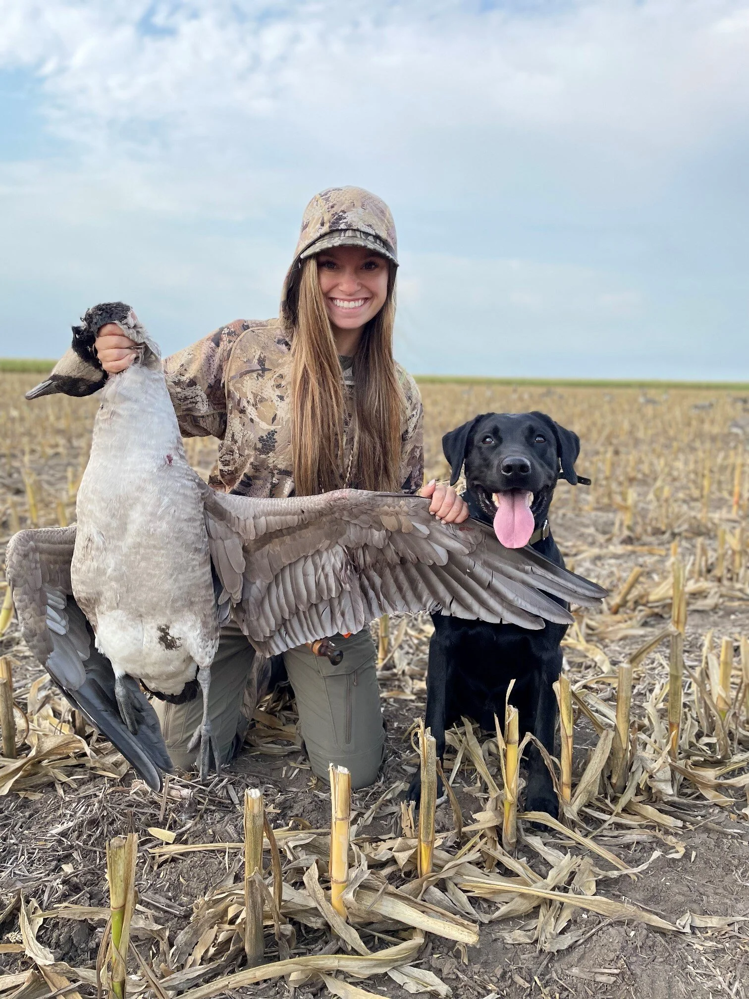SD Goose 08.jpg