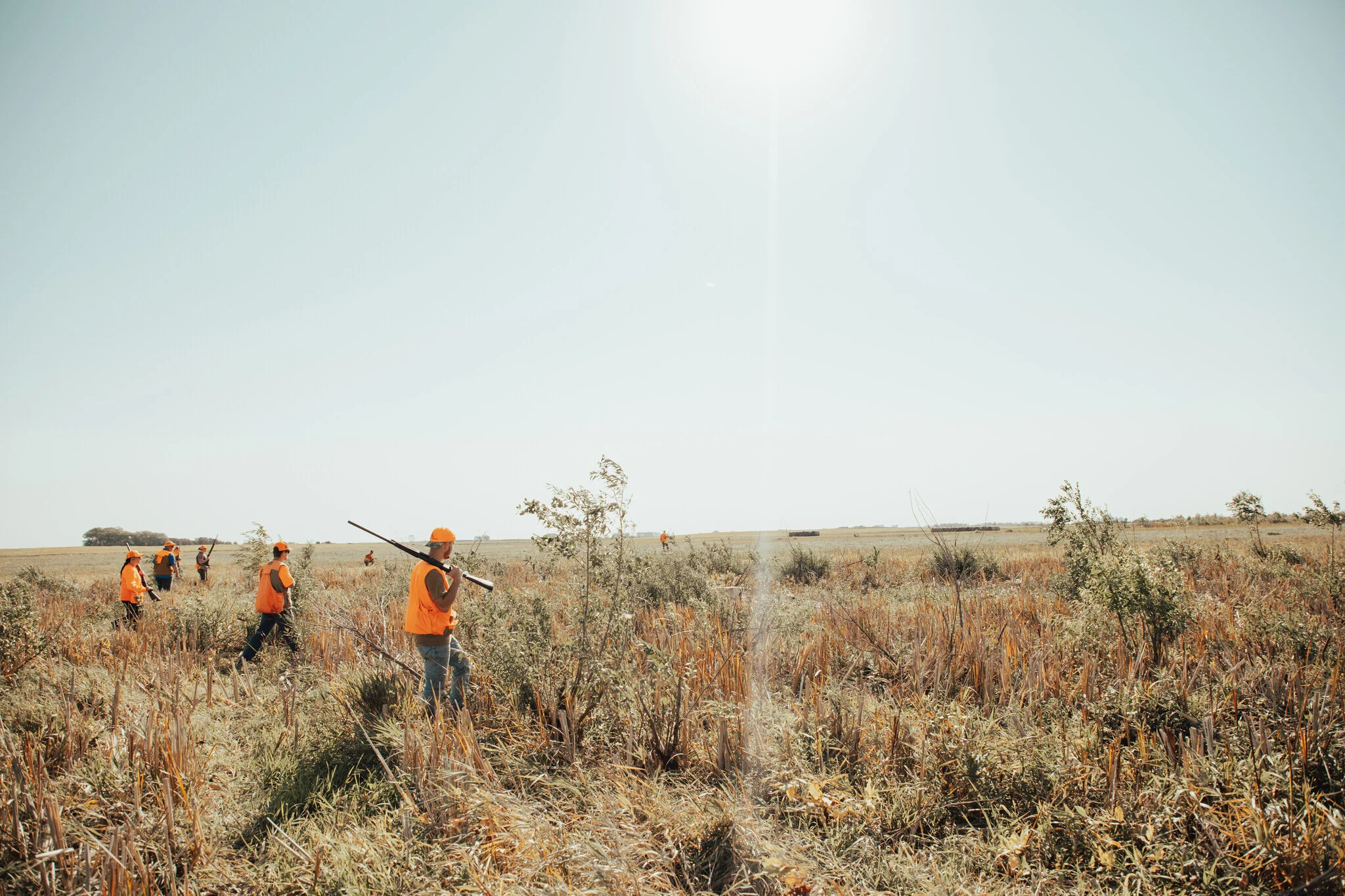 Sd pheasant 2021a.jpg