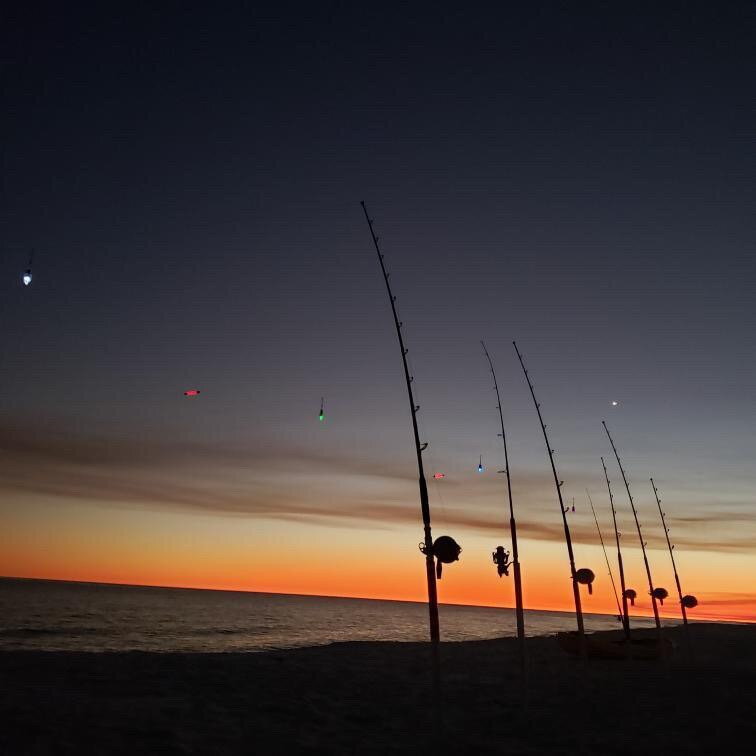 flordiasharkfishing102.JPG